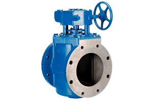 Eccentric Plug Valve Design