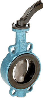 Wafer & Lugged Pattern Valve Design