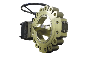 Triple Offset High Performance Butterfly Valve